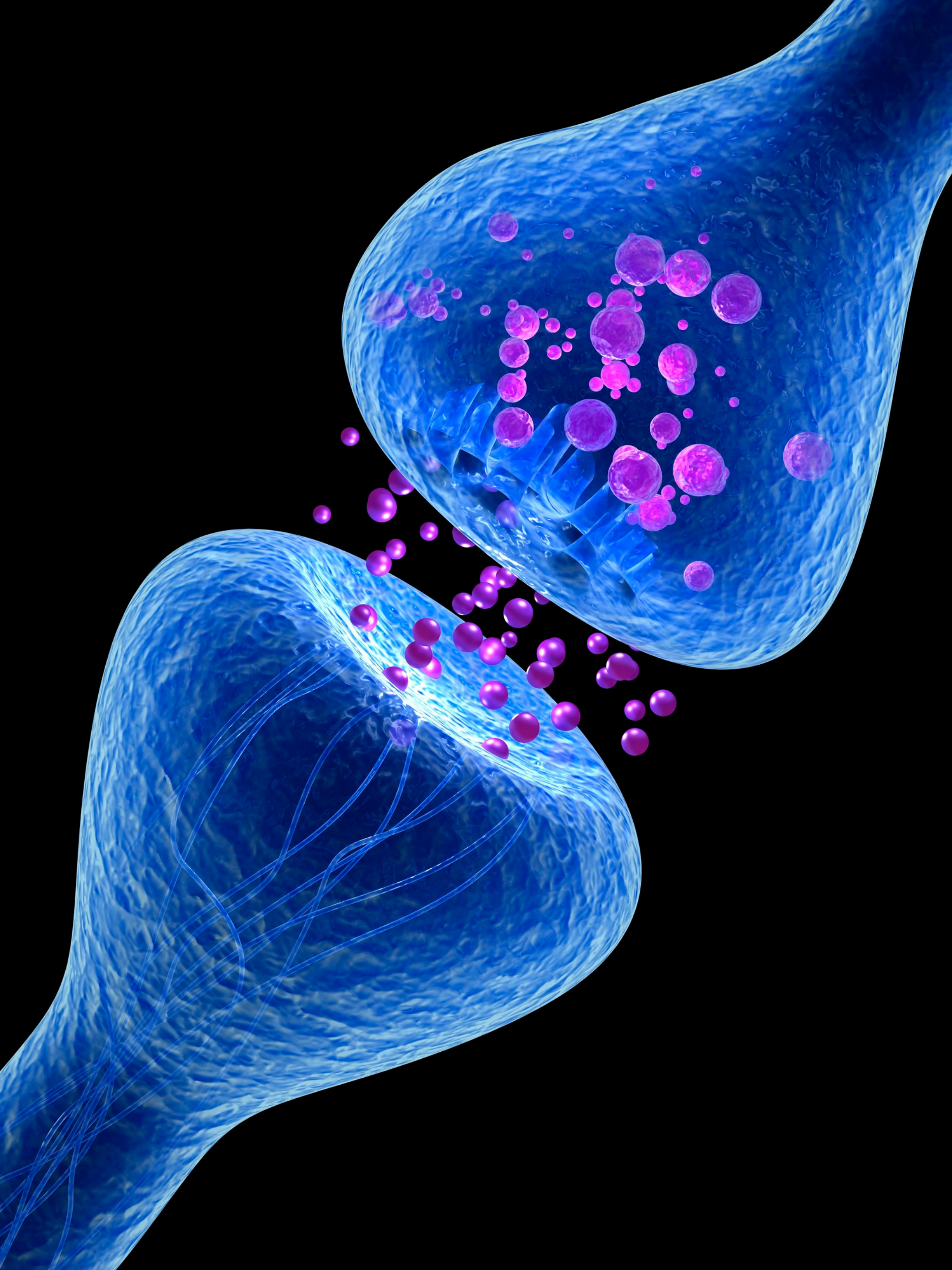 Loupe tenue par une main.